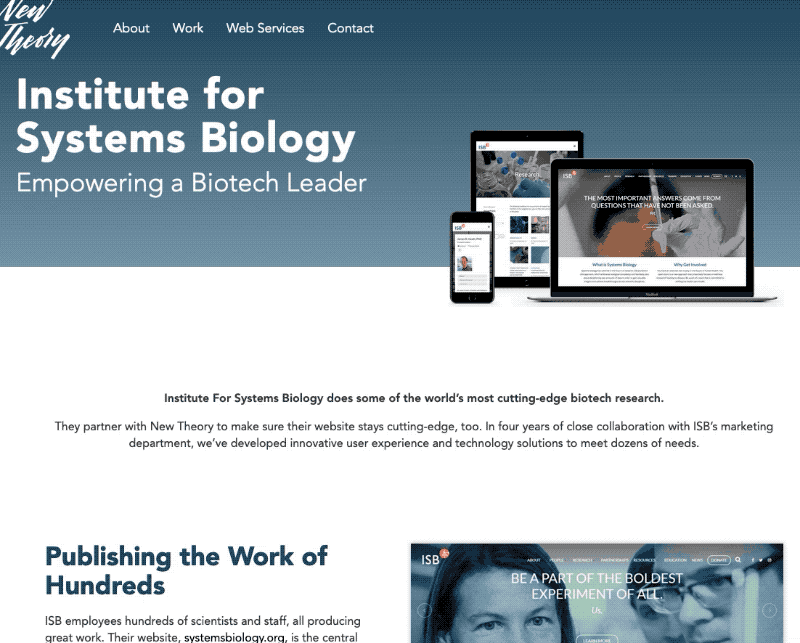 Screenshot of New Theory portfolio