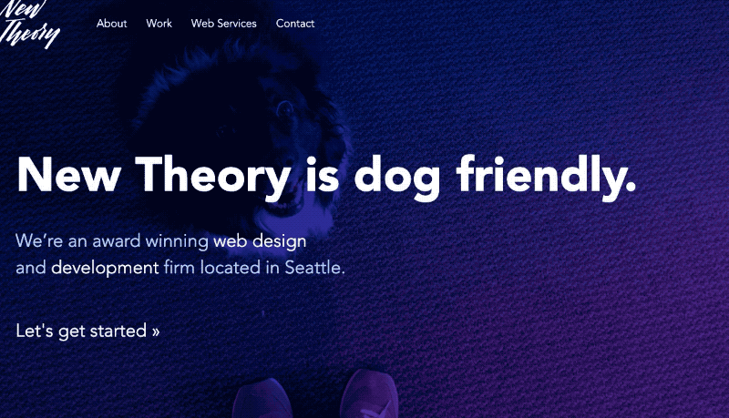 Animated screenshot of new theory Homepage showing Geoff's dog Skye with the caption New Theory is Dog Friendly