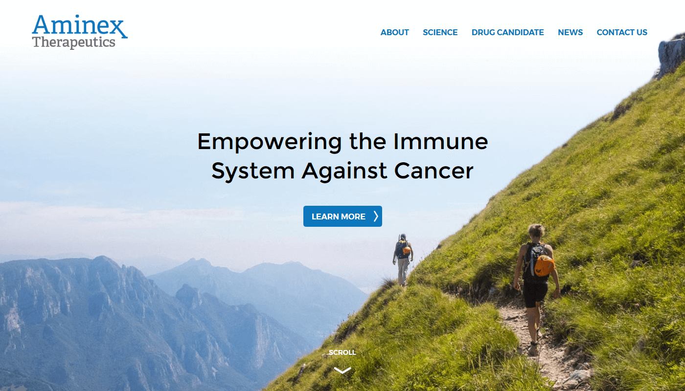 Screenshot of aminex Homepage