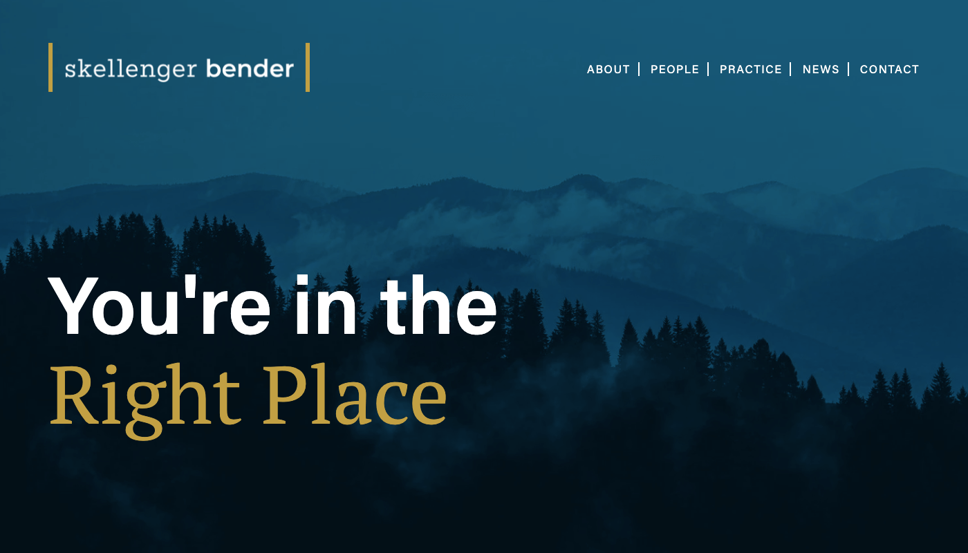 Skellenger Bender Website Screenshot